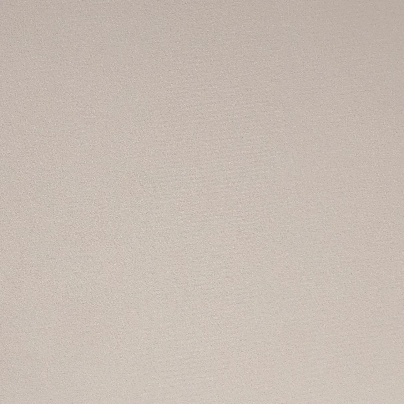 64.3' Velvet Upholstered Loveseat Sofa,Modern Loveseat Sofa with Thick Removable Seat Cushion,2-Person Loveseat Sofa Couch for Living Room,Bedroom,or Small Space,Beige